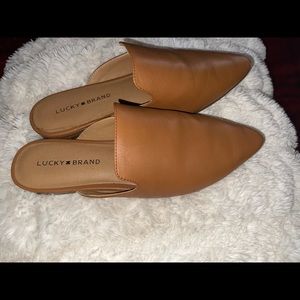 Brown Mules